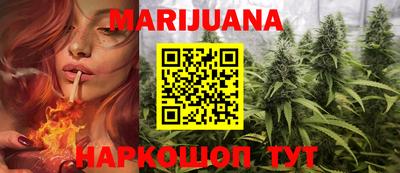 индика Тверь