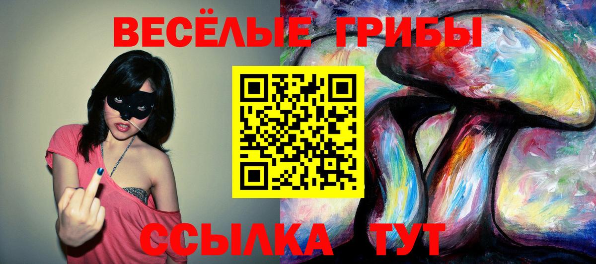 Галлюциногенные грибы Cubensis Обь