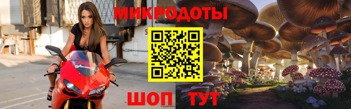 цена   Вход с VPN  Обь  Псилоцибиновые грибы мицелий 